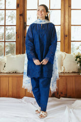 3PC-Embroidery Suit With Pashmina Shawl-LH033